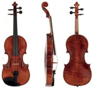 Violine